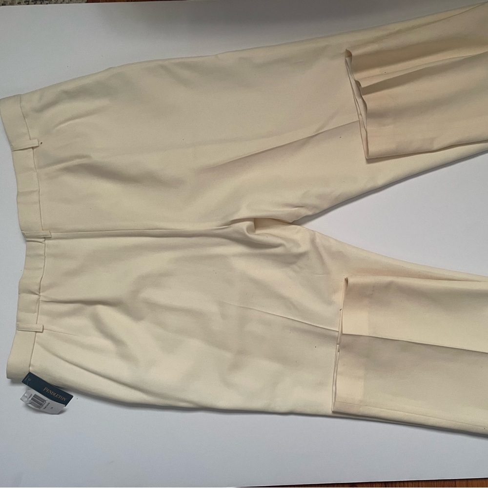 Pendleton Pants - Inspired Minimalist Gyal - Picture 8 of 10